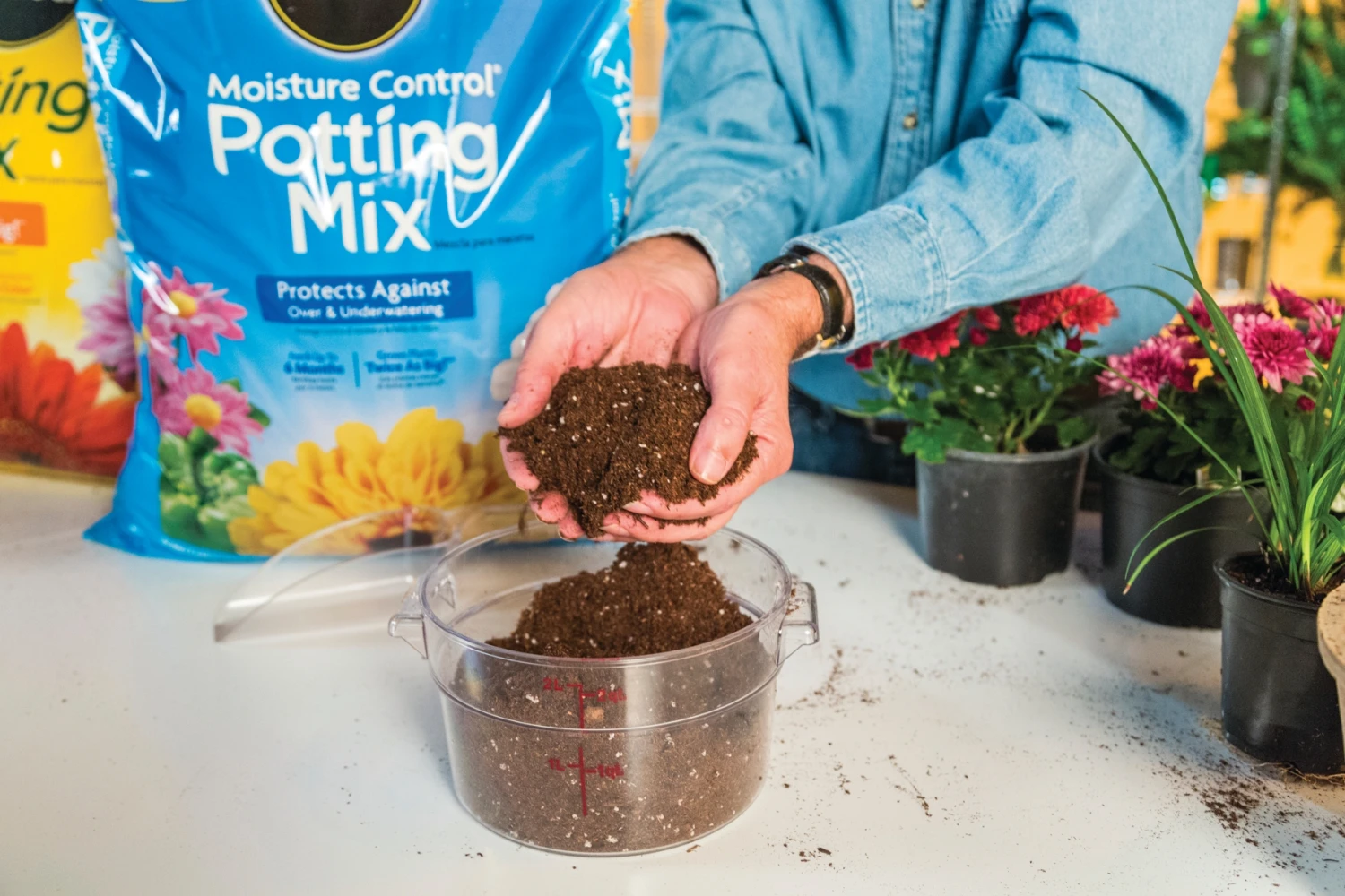 Miracle-Gro® Moisture Control® Potting Mix Miracle-Gro® Moisture Control® Potting Mix -Lawn & Garden shop 091914 pjc 077