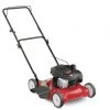 Yard Machines 20 in. 125 cc OHV Briggs & Stratton Gas Walk Behind Push Mower -Lawn & Garden shop 1371685