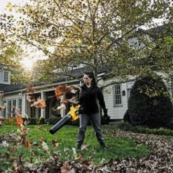 DeWalt 60V MAX* FLEXVOLT® Brushless Handheld Axial Blower -Lawn & Garden shop 13951577 2