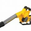 DeWalt Flexvolt 60V Max Handheld Blower Kit -Lawn & Garden shop 13951636 1 1