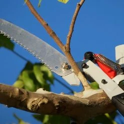 Corona DualLINK™ Tree Saw and Pruner - 14 ft -Lawn & Garden shop 19 ctc 2735 amazon a content tp 4214 02 panel2 1