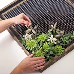 Garden Craft 36" x 5" Galvanized Hardware Cloth Fence, 1/2" Square -Lawn & Garden shop 19000017 4 1