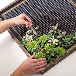 Garden Craft 36" x 5" Galvanized Hardware Cloth Fence, 1/2" Square Garden Craft 36" x 5" Galvanized Hardware Cloth Fence, 1/2" Square -Lawn & Garden shop 19000017 4