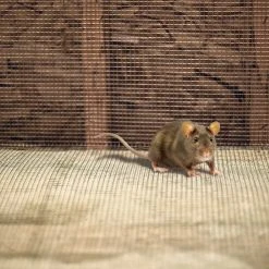 Garden Craft 24" x 5' Galvanized Hardware Cloth Fence, 1/8" Square 5 Garden Craft 24" x 5' Galvanized Hardware Cloth Fence, 1/8" Square -Lawn & Garden shop 19000021 4