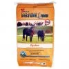 X-Seed 25lb Equine Pastures Grass Seed -Lawn & Garden shop 28830000 1 1