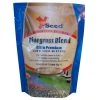 X-Seed Bluegrass Grass Blend - 1 lb -Lawn & Garden shop 28830003 1