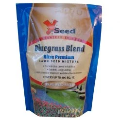 X-Seed Bluegrass Grass Blend - 1 lb