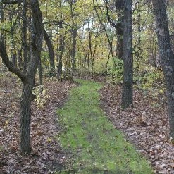 X-Seed Trail Mix Shake N'Spread - 7 lb -Lawn & Garden shop 28830005 3 1