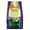 X-Seed Shady Lawn Grass Seed - 3 lb -Lawn & Garden shop 28830414 1