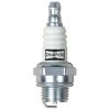 Champion CJ8 843 Spark Plug 1 Champion CJ8 843 Spark Plug -Lawn & Garden shop 3010024 1