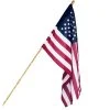 Annin Flagmakers American Flag Kit -Lawn & Garden shop 32890000 1 1