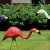 Bloem Flamingo Merica 3 Pack -Lawn & Garden shop 44060020