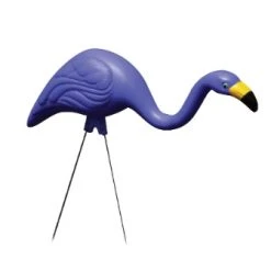 Bloem Flamingo Merica 3 Pack -Lawn & Garden shop 44060020 3 1