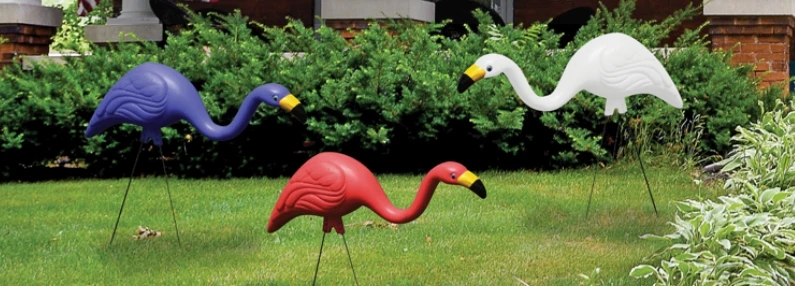 Bloem Flamingo Merica 3 Pack Bloem Flamingo Merica 3 Pack -Lawn & Garden shop 44060020