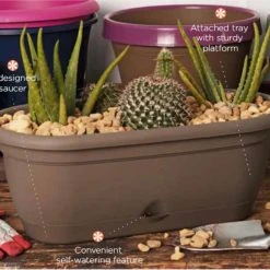 Bloem 18 in. Lucca Self Watering Window Box -Lawn & Garden shop 5171461 3 1 1