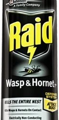 Raid Wasp & Hornet Killer 17.5oz