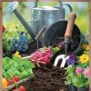 Creek Side Soils All Purpose Supreme Gardener’s Mix -Lawn & Garden shop 554 1supremegardnersmix
