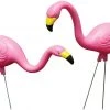 Bloem Living Two Flamingos, Pink 1 Bloem Living Two Flamingos, Pink -Lawn & Garden shop 615qy0hoasl. ac sl1500