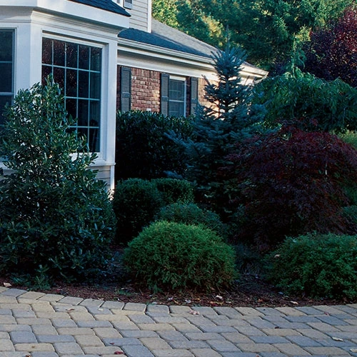 Better Barriers Landscape Fabric 3' X 50' - 20 Year Guarantee Better Barriers Landscape Fabric 3' X 50' - 20 Year Guarantee -Lawn & Garden shop 70180003 2 1