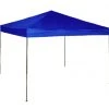 WFS 10' x 10' Blue Canopy 1 WFS 10' x 10' Blue Canopy -Lawn & Garden shop 72240013 1
