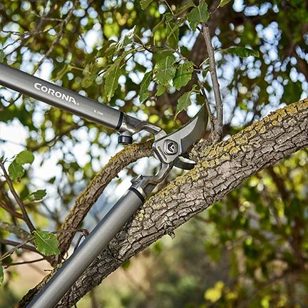 Corona ClassicCUT Bypass Lopper - 31 Inch Corona ClassicCUT Bypass Lopper - 31 Inch -Lawn & Garden shop 73550016 7