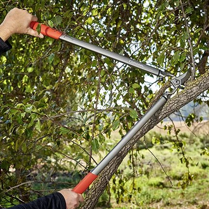 Corona ClassicCUT Bypass Lopper - 31 Inch Corona ClassicCUT Bypass Lopper - 31 Inch -Lawn & Garden shop 73550016 8