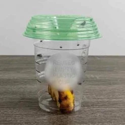 Fly-Lid Turn Almost Any Cup Into A Fly Trap (2-Pack) -Lawn & Garden shop 79370001 1 1