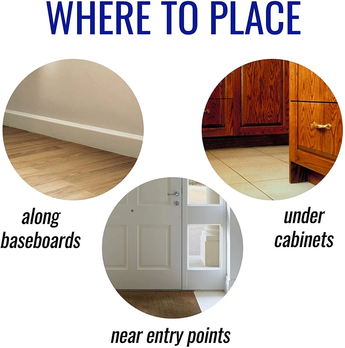 Terro Liquid Ant Killer II, 1 oz, Pack of 1 Terro Liquid Ant Killer II, 1 oz, Pack of 1 -Lawn & Garden shop 81ulwwz lyl. ac sl1500