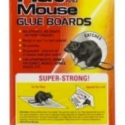 PIC Glue Rat / Mouse Boards, 2-Pack