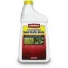 PBI-Gordon Brush Killer for Hard-To-Kill Brush 1 Qt 2 PBI-Gordon Brush Killer for Hard-To-Kill Brush 1 Qt -Lawn & Garden shop 9240544 1
