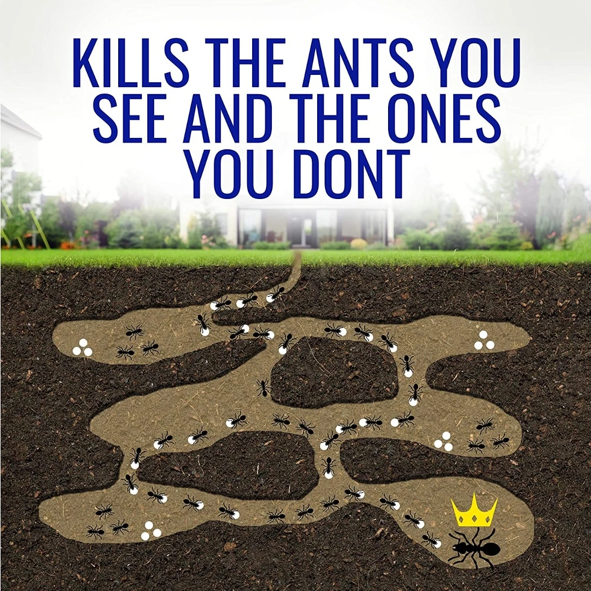 Terro Liquid Ant Killer II, 1 oz, Pack of 1 Terro Liquid Ant Killer II, 1 oz, Pack of 1 -Lawn & Garden shop a143acpecll. ac sl1500