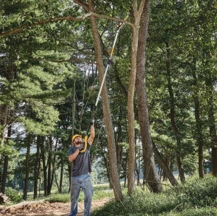 DeWalt 20V MAX* XR Cordless Pole Saw Kit DeWalt 20V MAX* XR Cordless Pole Saw Kit -Lawn & Garden shop dcps620m1 3