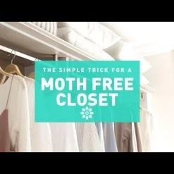 Earthkind Stay Away® Moths - Deterrent -Lawn & Garden shop hqdefault 57 12 2