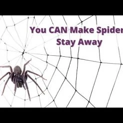 Earthkind Stay Away® Spiders - Deterrent -Lawn & Garden shop hqdefault 57 13 1