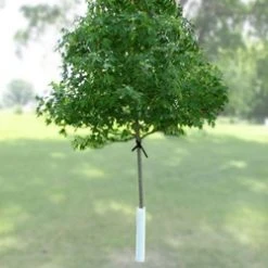Nelson Plastics Corrugated Tree Guard -Lawn & Garden shop tree staking kit 2