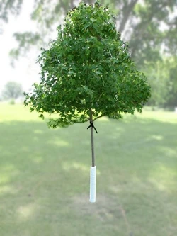 Nelson Plastics Corrugated Tree Guard Nelson Plastics Corrugated Tree Guard -Lawn & Garden shop tree staking kit